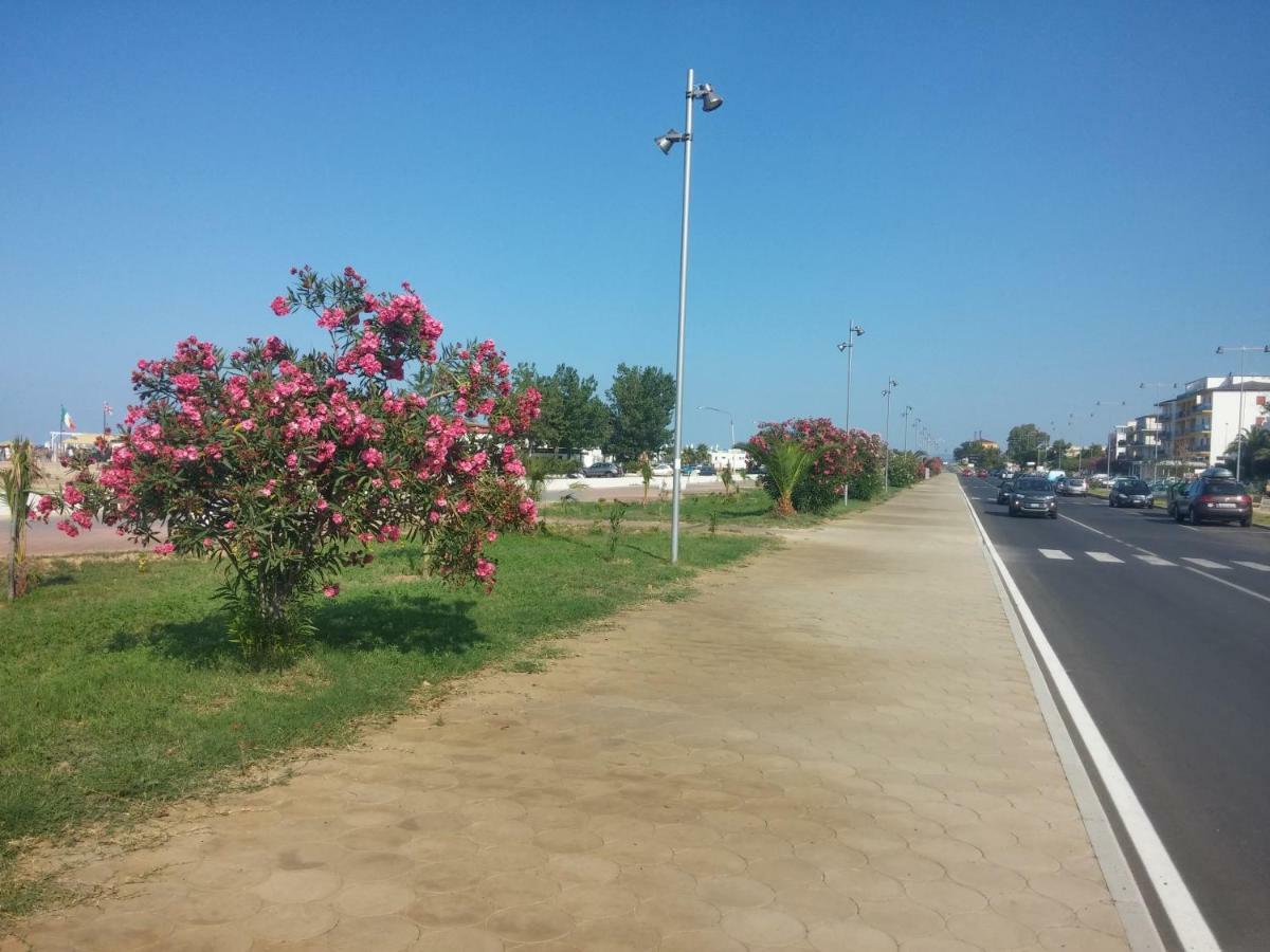 B&B L'Uliveto Marina di Schiavonea Esterno foto