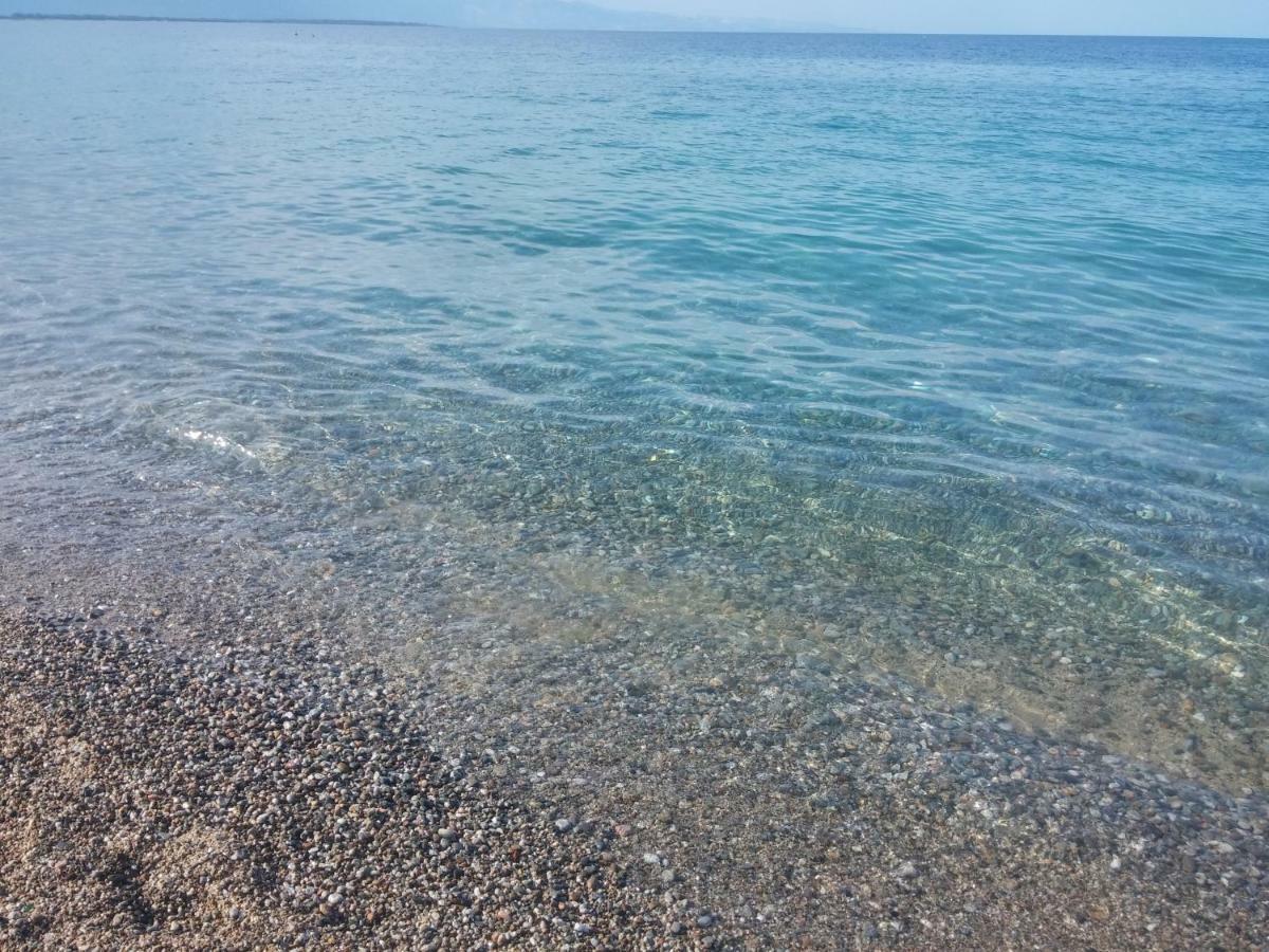 B&B L'Uliveto Marina di Schiavonea Esterno foto
