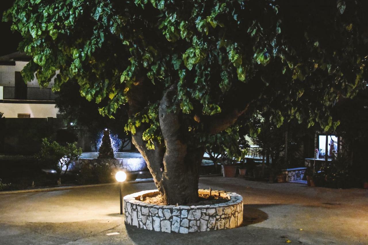 B&B L'Uliveto Marina di Schiavonea Esterno foto